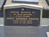 image of grave number 929795